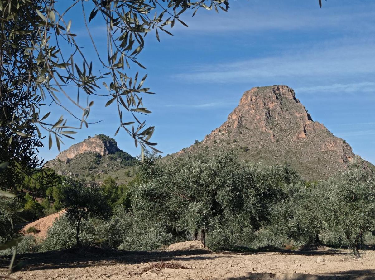 Casa Camille.Villares אלצ'ה דה לה סיירה מראה חיצוני תמונה